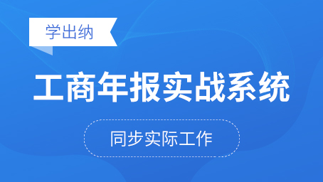 工商年报实战系统